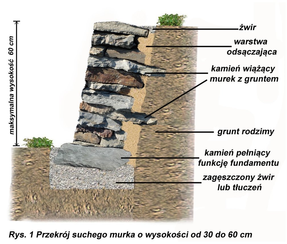 rys. 1 ( murek o wys. do 60 cm)